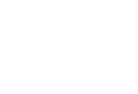 LSZ future connections